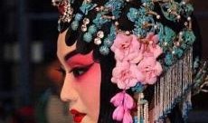 刘桂娟爆料八卦视频大全,娱乐圈八卦视频大揭秘